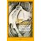 New and Improved: The Transformation of American Women's Emotional Culture (History of Emotions Series, 5)