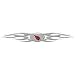 Arizona Cardinals Rear Auto Graphic