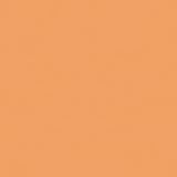 Lee Full Orange (CTO) Plus .6 Two Stop Neutral Density, 20 x 24 Color Correcting Lighting Filter