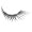 Ref 25113