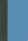 Holy Bible: Holman Christian Standard Bible, Blue, Simulated Leather, Colormax