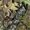 Mossy Oak Obsession