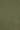Moss Green