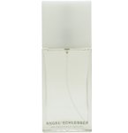 Buy Angel Schlesser ANGEL SCHLESSER Deodorant Spray for WOMEN 3.4 Oz