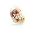 Toasted Marshmallow - 3.5 oz bag