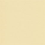 Exact Multipurpose Ivory 11x17 28 70lb 500 pkg