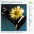 Donizetti/Mercadante/Rossini: Works for Clarinet and Orchestra