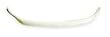Industrial Grade 2YAX5 Nonadjust Poly/Neoprene Retainer, White