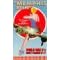 Click here to buy The Memphis Belle - A Story of a Flying Fortress.