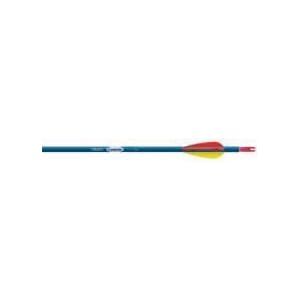 12 - Pk. Easton� Genesis 1820 30 Arrows with Vane by 