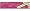 Gerbera Pink