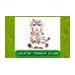 Product Video: Alive White Tiger Cub