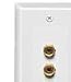 Speaker Wall Plate
