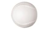 Wilson SFT Outdoor Use Softball Dozen Pack