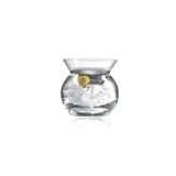 Ravenscroft Crystal Martini Chiller Set