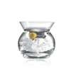 Ravenscroft Crystal Martini Chiller Set