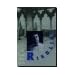Ringling: The Florida Years, 1911-1936