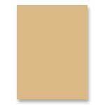 Riverside Paper Tru-Ray(R) Construction Paper, 18in. x 24in., Tan