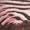 Pink Zebra