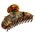 France Luxe Jumbo Couture Claw