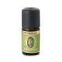 Primavera Weihrauch arabisch 5 ml von Primavera