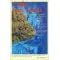 Cabo San Lucas Fishing Chart & Guide