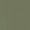 Pine Forest