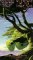 Evening of Yes Music Plus [VHS]