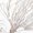 Mossy Oak Winterbrush