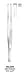 FORCEP,NELSON,TISSUE,6X7 TEETH,15CM-6