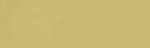 Vallejo Model Colors: Sand Yellow #9