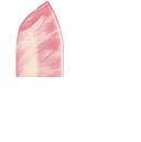 Ultra Colour Rich Moisture Seduction Lipstick (Soft Pink)