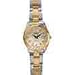 Ladies Rotary Watches Rotary Ladies Cream Mother of Pearl Watch (935