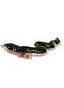 Snake Finger Puppet