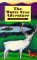The white stag adventure