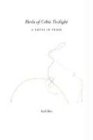 Birds of Celtic Twilight: A Novel in Verse