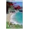 Traveling California State Parks - Central California [VHS]