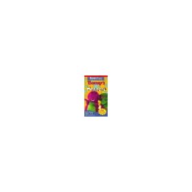 Barney's Best Manners (Spanish) [VHS]