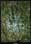 Columbus From Space, Art Poster