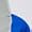 Silver/royal/white