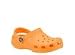 Cantaloupe