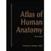 Atlas Of Human Anatomy