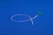 Kendall Argyle Pvc Nasogastric Feeding Tube 5Fr 36" No Stylet - Model 155721