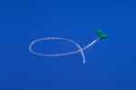 Argyle Pvc Nasogastric Feeding Tube 8fr 42 No Stylet