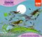 Gilbert & Sullivan: Ruddigore/Sullivan:The Tempest And The Merchant Of Venice