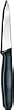 Forschner / Victorinox Paring Knife, 3 1/4 in Straight, Small, Black Nylon Handle Model 40600