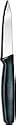 Forschner / Victorinox Paring Knife, 3 1/4 in Straight, Small, Black Nylon Handle Model 40600