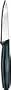 Forschner / Victorinox Paring Knife, 3 1/4 in Straight, Small, Black Nylon Handle Model 40600
