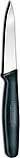 Forschner / Victorinox Paring Knife, 3 1/4 in Straight, Small, Black Nylon Handle Model 40600