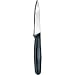 Forschner / Victorinox Paring Knife, 3 1/4 in Straight, Small, Black Nylon Handle Model 40600